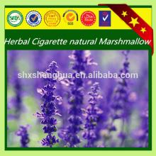 plant extract marshmallow bulk Marshmallow root Extract