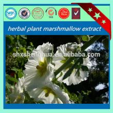 Natural herb Cigarette Marshmallow Leaf
