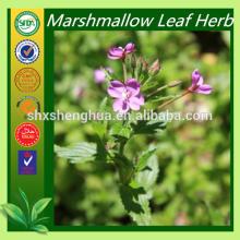 100% purity marshmallow bulk marshmallow leaf for sale