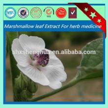 GMP factory Herbal Cigarettes Common Marshmallow