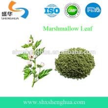 New Type of Cigarette Raw Material Source Marshmallow Leaf