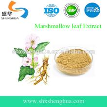 Top Quality Marshmallow Root Extract Powder