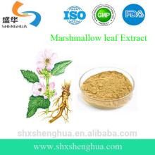 GMP Manufacturer Marshmallow Leaf Powder