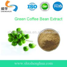 GMP Manufacturer Green Coffee Slim Tea Powder
