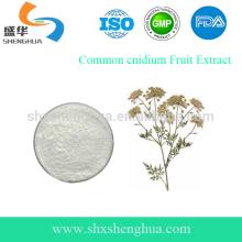 GMP Manufacturer Cnidium Monnier Extract 10%-98% Osthole
