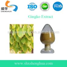 China Ginkgo Biloba Extract Supplier Competitive Price