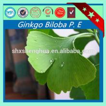 Param grade Ginkgo Biloba Extract Powder natural Biloba leaf P.E