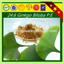 High quality solvent extraction gingko biloba P.E Ginkgo Biloba Extract
