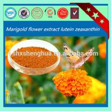 2014 Hot selling GMP Manufacturer Vision Care Lutein