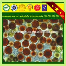 2014 hot selling GMP Manufacturer Astaxanthin Astaxanthin powder