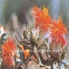 Saffron