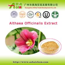 relieve coughing marshmallow root p.e