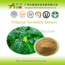 Supplement man power tribulus terrestris extract