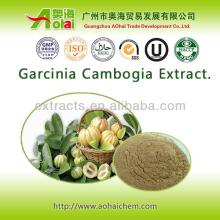 In bulk supply garcinia cambogia extract by HPLC