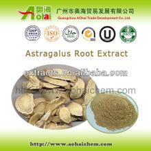 ISO certified astragalus extract 100% natural