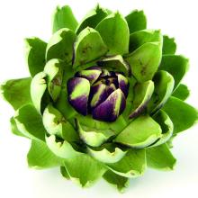  Artichoke   Leaf   Extract  Biobenefity Natural Cosmetic Ingredient
