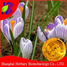 100% Best Quality Pure Saffron Essential Oil For Fair Complexion