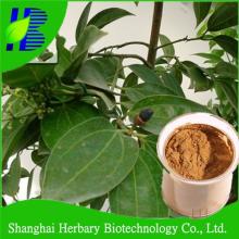 Supply cinnamaldehyde 5% cinnamon bark extract