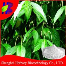 High quality piperine 98% white pepper extract