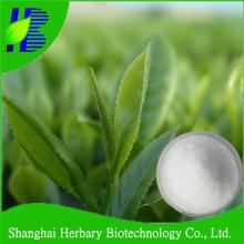 100% pure nature l- theanine  powder