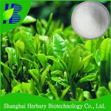 High quality 98% l-theanine powder