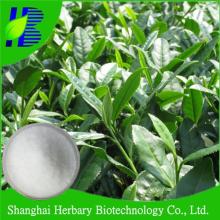 GMP factory supply l-theanine powder