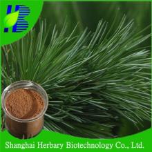 Best price KOF- Pine Pollen / Pine Needle Powder
