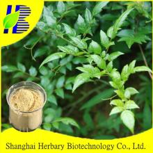 98% dihydromyricetin powder vine tea extract