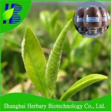 Decaffeinated green tea extract powder