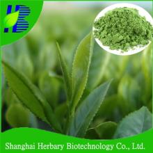 Pure natural white tea powder