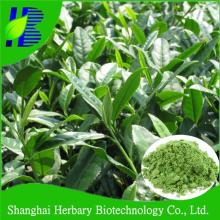 Natural white tea powder for anti-aging