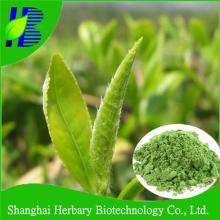 100% pure nature  instant   white   tea   powder 
