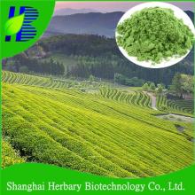 Instacnt Black Tea Powder/Instant White Tea Powder