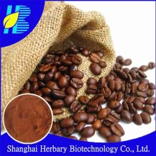 Natural product Cocoa extract, Theobromine 6%- 20%