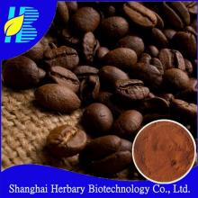 High Quality Natural Cocoa Bean Extract Powder Cocoa Bean Extract