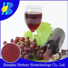 Professional manufacturer supply red wine extract powder