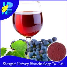 Natural 60% polyphenols red wine extract