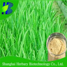 GMP certificatied aloe vera extract aloin 20%
