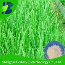 200:1 Aloe vera moisturizing gel spray dried powder