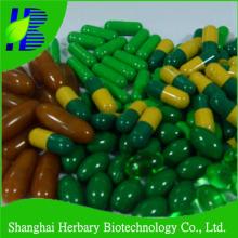 GMP manufacturer aloe vera softgels/hot detox capsule