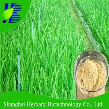 100:1 Aloe vera whole leaf spray dried powder for health