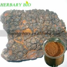 HOT!!! Chaga mushroom extract polysaccharide 40%