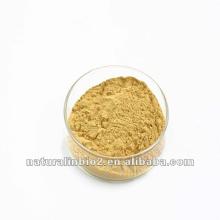 Hot selling Instant Tea Powder
