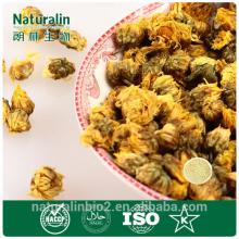 instant chrysanthemum tea powder with cold water soluble