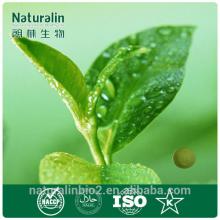 Water-soluble Premix Instant Tea Powder/flavored instant drink powder