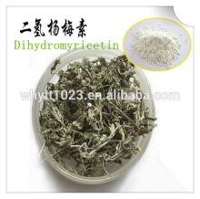 Vine Tea Extract 98% Dihydromyricetin