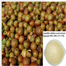 High quality natural camellia oleifera seed extract Saponin powder