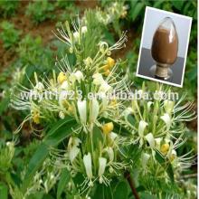 Pure  Green   Coffee   Bean   Extract   Chlo rogenic Acid
