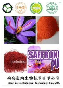 pure saffron extract powder/hot china products wholesale