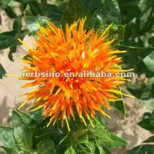 saffron powder